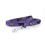 Halloween Dog Harness - To Cute To Spook