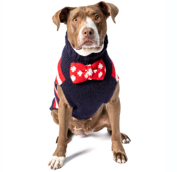 Best Squirrel Patrol Dog Sweater | Le Pet Luxe