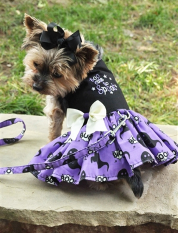 Too Cute to Spook Halloween Dog Harness Dress