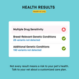Embark Breed + Health Kit