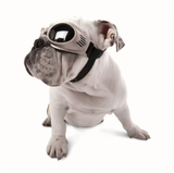 Doggles Originalz - Chrome Frame, Smoke Lens - Le Pet Luxe