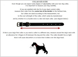 Heirloom Old Glory Dog Collar - Le Pet Luxe