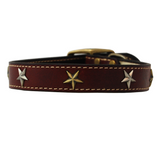 Heirloom Old Glory Dog Collar - Le Pet Luxe