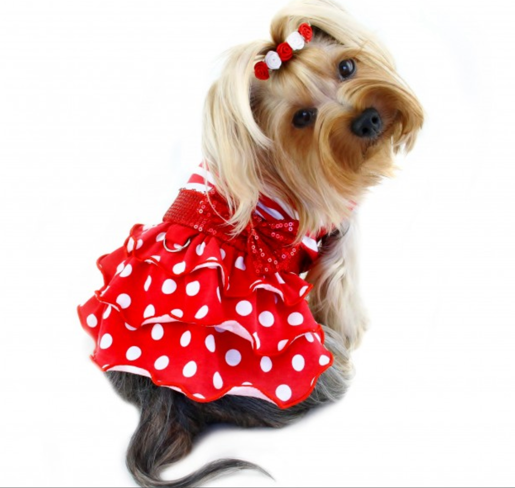 Dog Clothes, Costumes & Luxe Apparel