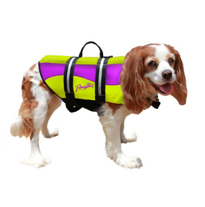 Dog Life Jacket ~ Yellow/Purple Neoprene - Le Pet Luxe