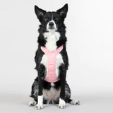 Visibility Dog Harness - Pink