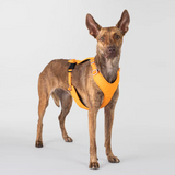 Visibility Dog Harness - Orange