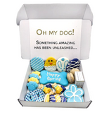 Happy Spring Dog Treats Gift Box