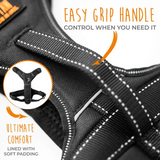 Sport Dog Harness 2.0 - Le Pet Luxe