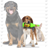 Beer Bottle Dos Perros - Le Pet Luxe