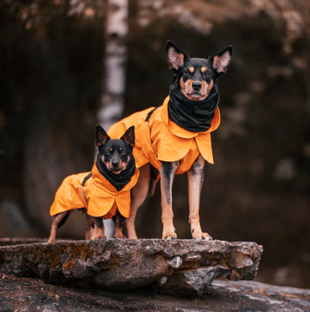 Visibility Raincoat - Orange
