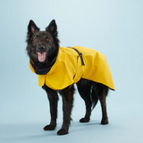 Visibility Raincoat - Yellow