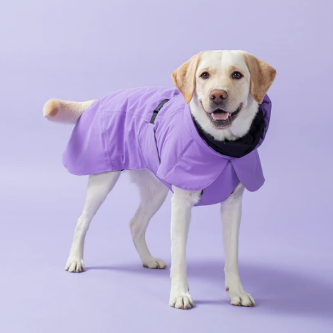 Visibility Winter Jacket - Lilac