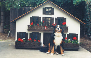 La Petite Maison Custom Swiss Chalet Dog House - Le Pet Luxe