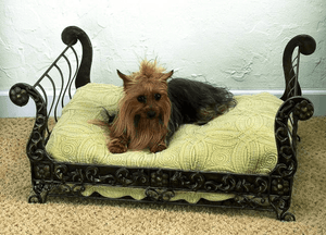 Faux Antique Brass Pet Sleigh Bed - Le Pet Luxe