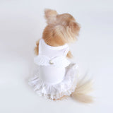 Lil' Angel Dog Dress - Le Pet Luxe