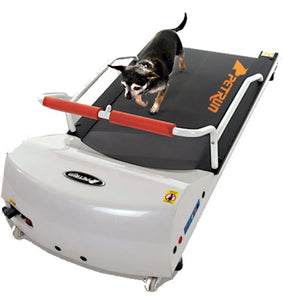 PetRun PR700 Dog Treadmill - Le Pet Luxe