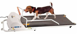 PetRun PR720F Dog Treadmill - Le Pet Luxe